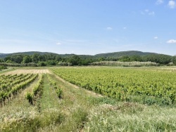 Photo paysage et monuments, Salazac - La Campagne