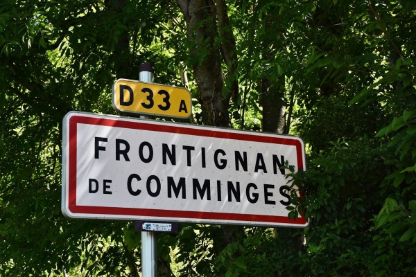 Photo Frontignan-de-Comminges - frontignan de comminges (31510)