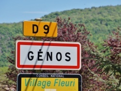 Photo paysage et monuments, Génos - genos (31510)