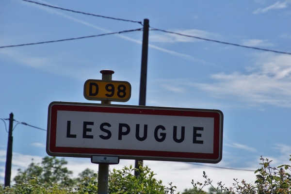 Photo Lespugue - lespugue (31350)