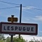 Photo Lespugue - lespugue (31350)