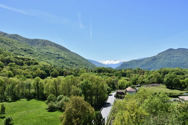 Photo Saint-Pé-d'Ardet - La Campagne