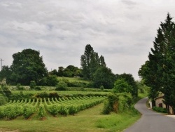 Photo paysage et monuments, Sainte-Colombe - La Commune