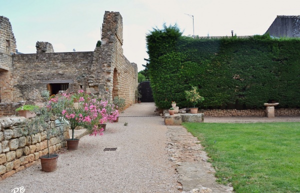 Photo Cazedarnes - Abbaye de Fontcaude