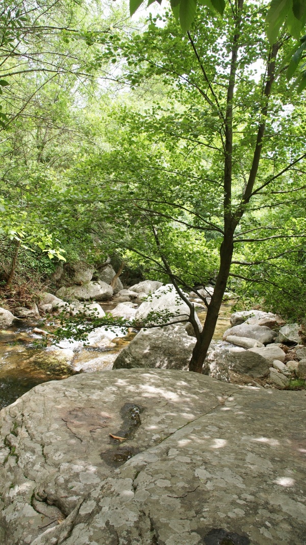 Photo Colombières-sur-Orb - la rivière