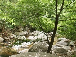 Photo paysage et monuments, Colombières-sur-Orb - la rivière