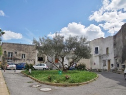 Photo paysage et monuments, Fabrègues - le Village