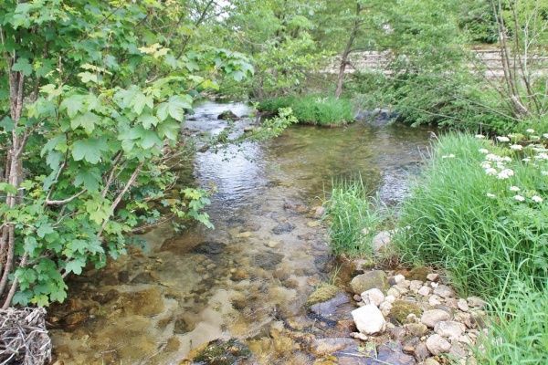 Photo Fraisse-sur-Agout - la rivière l'agout