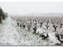 Photo paysage et monuments, Frontignan - Neige à Frontignan