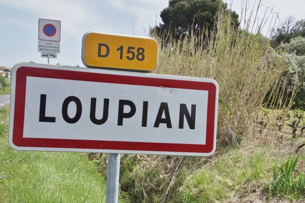 Photo Loupian - loupian (34140)