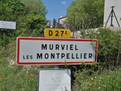 Photo paysage et monuments, Murviel-lès-Montpellier - murviel les montpellier (34570)