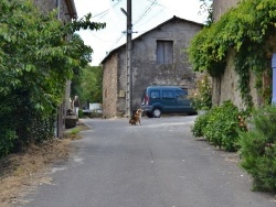 Photo paysage et monuments, Rieussec - la commune