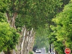 Photo paysage et monuments, Roujan - Le Village