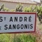 Photo Saint-André-de-Sangonis - Saint André de Sangonis (34725)