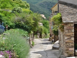 Photo paysage et monuments, Saint-Martin-de-l'Arçon - la commune