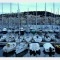 Photo Sète - Le port de plaisance