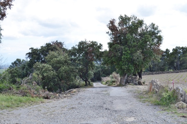 Photo Siran - la commune