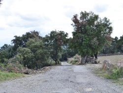 Photo paysage et monuments, Siran - la commune