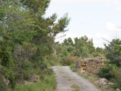 Photo paysage et monuments, Siran - la commune