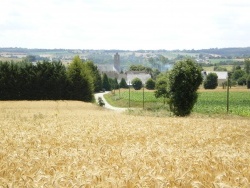 Photo paysage et monuments, La Bosse-de-Bretagne - promenade sur la commune