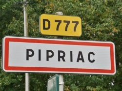 Photo paysage et monuments, Pipriac - Pirriac (35550)