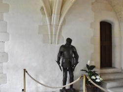 Photo paysage et monuments, Amboise - le Château