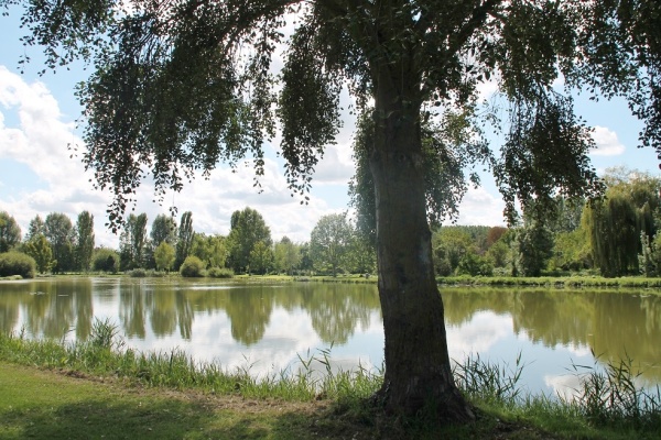 Photo Champigny-sur-Veude - la rivière