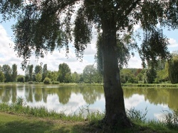 Photo paysage et monuments, Champigny-sur-Veude - la rivière