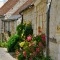 Ruelle fleurie à Crissay-sur-Manse