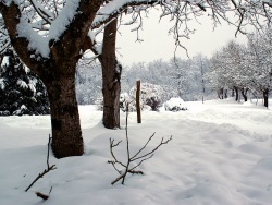 Photo paysage et monuments, Saint-Victor-de-Morestel - Sous la neige