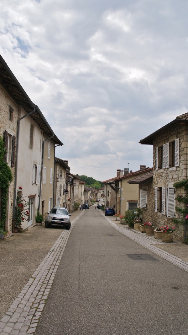 Photo Treffort - le village