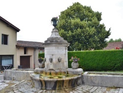 Photo paysage et monuments, Treffort - la fontaine