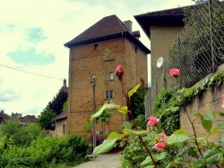 Photo paysage et monuments, Arbois - Arbois.Jura-La tour Gloriette.