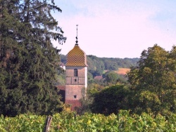 Photo paysage et monuments, Arlay - Arlay;clocher comtois.2.