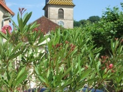 Photo paysage et monuments, Arlay - Arlay clocher comtois.