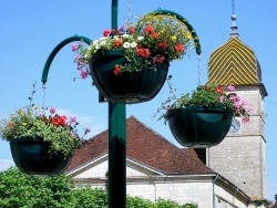 Photo paysage et monuments, Arlay - Arlay Jura-été 2009.