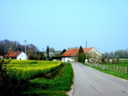 Photo paysage et monuments, Asnans-Beauvoisin - Asnans.Jura-Vornes-1.