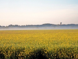 Photo paysage et monuments, Asnans-Beauvoisin - Asnans Jura-01 05 2011-colza et matin bleu.