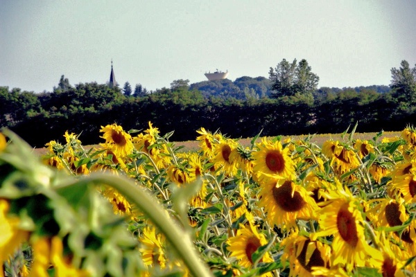 Photo Asnans-Beauvoisin - Asnans.Juillet 2011