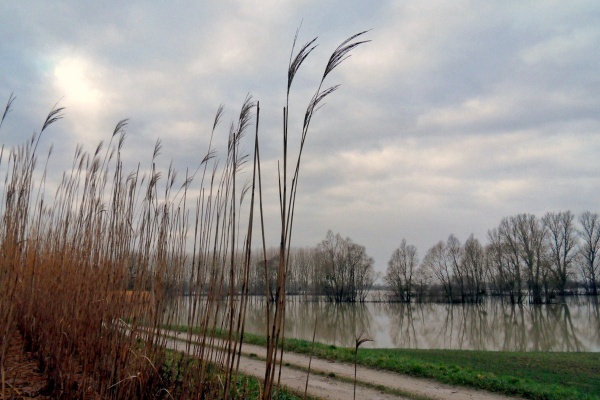 Photo Asnans-Beauvoisin - Asnans.Vornes.Janvier 2012