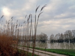 Photo paysage et monuments, Asnans-Beauvoisin - Asnans.Vornes.Janvier 2012