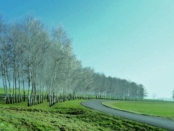 Photo paysage et monuments, Asnans-Beauvoisin - Asnans route de Pleure,Janvier 2012