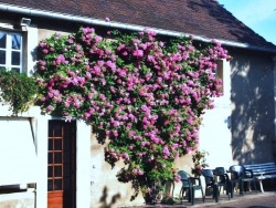 Photo faune et flore, Asnans-Beauvoisin - Asnans Jura-Roses de Mai.
