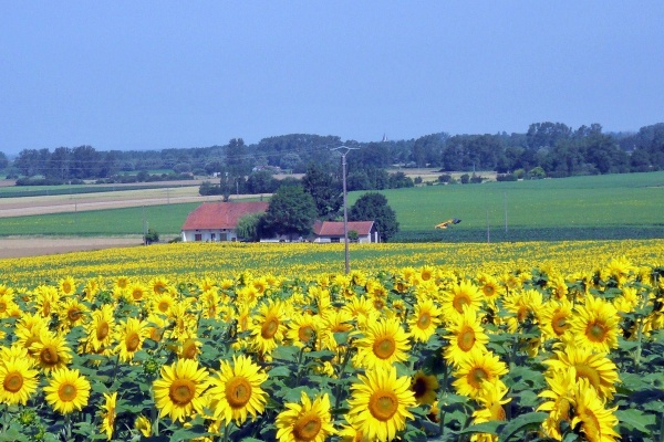 Photo Asnans-Beauvoisin - Asnans.Vornes.été 2012