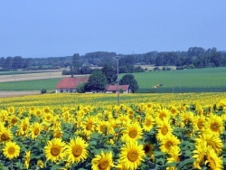 Photo paysage et monuments, Asnans-Beauvoisin - Asnans.Vornes.été 2012