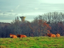 Photo paysage et monuments, Asnans-Beauvoisin - Asnans.Jura.Couleurs d'automne