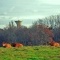 Photo Asnans-Beauvoisin - Asnans.Jura.Couleurs d'automne