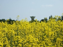 Photo paysage et monuments, Asnans-Beauvoisin - Asnans-printemps 2009.