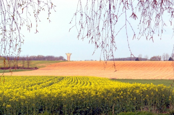 Photo Asnans-Beauvoisin - Asnans Jura-30 mars 2014.