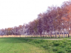 Photo paysage et monuments, Asnans-Beauvoisin - Asnans Jura-30 mars 2014.Route de Pleure.